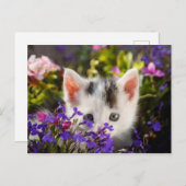 Cute Kitten Spring Briefkaart (Voorkant / Achterkant)