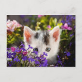 Cute Kitten Spring Briefkaart (Voorkant)
