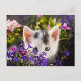 Cute Kitten Spring Briefkaart