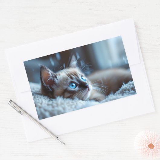 Cute Kitten Sticker  (Envelop)