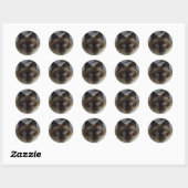Cute Kitten Stickers (Vel)