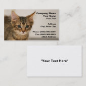 Cute Kitten tegen een gebroken witte achtergrond Visitekaartje (Voorkant / Achterkant)