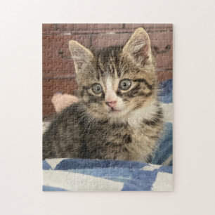 Cute Kitten   Verlaat deze afbeelding of voeg je e Legpuzzel