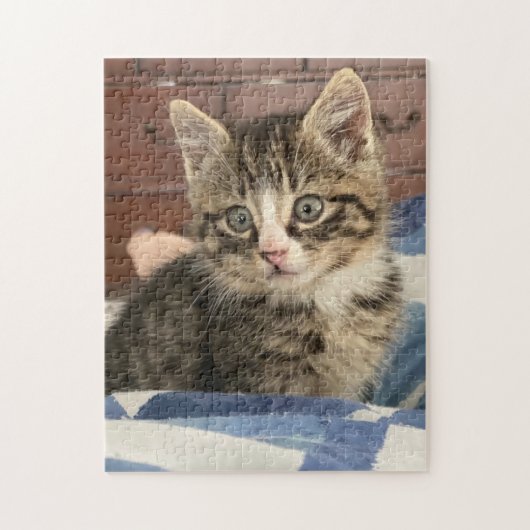 Cute Kitten | Verlaat deze afbeelding of voeg je e Legpuzzel (Verticaal)
