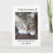 Cute Kitten Veterinarian Pet Care Cat Pet Foto Bedankkaart (Voorkant)