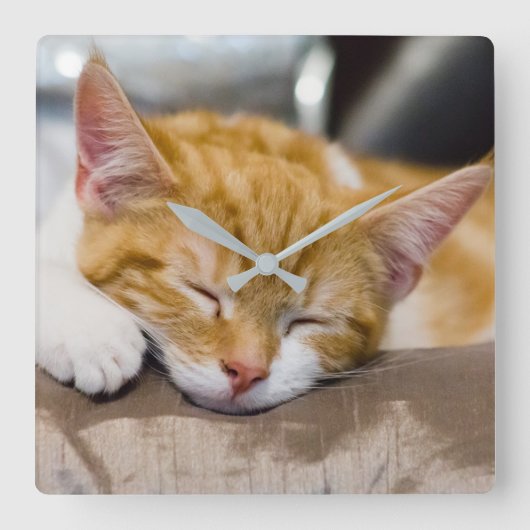 Cute Kitten Vierkante Klok (Voorkant)