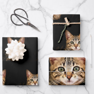 Cute Kitten Wrapping Paper Pack
