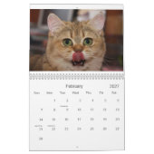 Cute Kittens 2012 Agenda Kalender (Feb 2027)