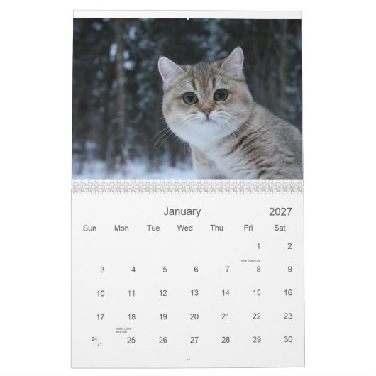Cute Kittens 2012 Agenda Kalender (Jan 2027)