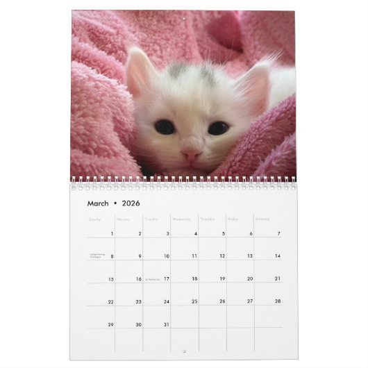 Cute Kittens 2017 Kalender (Mar 2026)