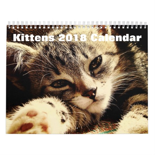 Cute Kittens 2018 Kalender (Hoes)