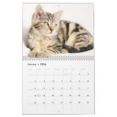 Cute Kittens 2018 Kalender (Jan 2026)