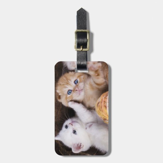 Cute kittens bagagelabel (Voorkant verticaal)
