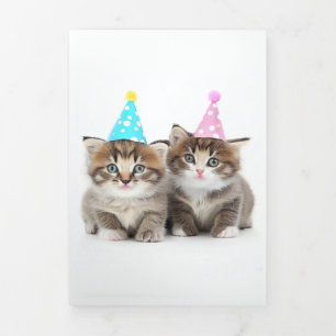 Cute Kittens Birthday Kaart 2