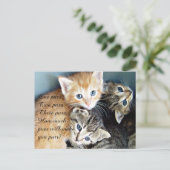 Cute Kittens Briefkaart (Staand voorkant)