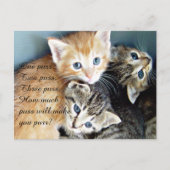 Cute Kittens Briefkaart (Voorkant)