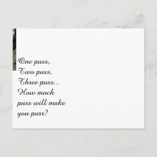 Cute Kittens Briefkaart (Voorkant)