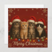 Cute kittens Christmas Card. Feestdagenkaart (Voorkant / Achterkant)