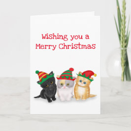 Cute kittens die je een vrolijke kerstkaart wensen kaart