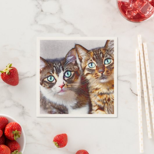 Cute kittens facks servet (Insitu)