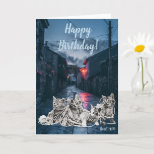 Cute Kittens Foto Birthday Card Kaart
