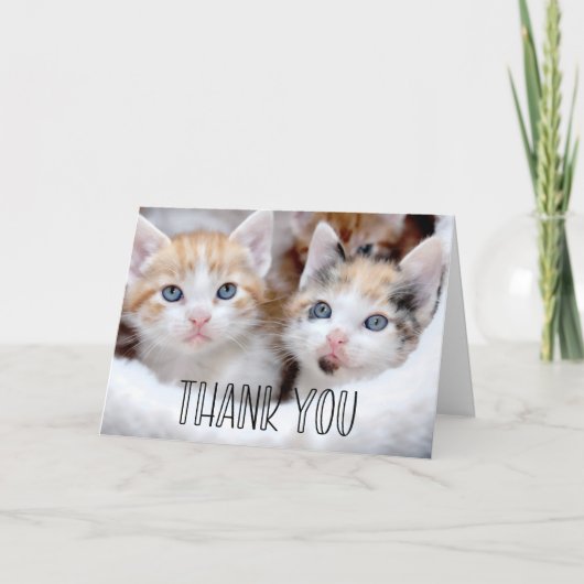 Cute Kittens Foto Whimsical Typografie Bedankkaart (Voorkant)