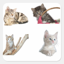 Cute Kittens Fotocollage Zachte Kat Aesthetisch Vierkante Sticker