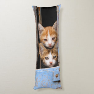 Cute Kittens in een raam, luid Lichaamskussen