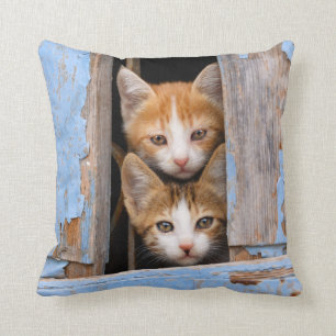 Cute Kittens in een raam, vierkant Kussen