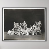 Cute Kittens in Yarn Art Print (Voorkant)