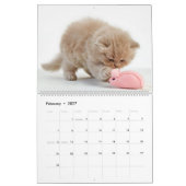 Cute Kittens Kalender (Feb 2027)