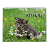 Cute Kittens Kalender (Hoes)