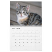 Cute Kittens-kalender Kalender (Mar 2026)