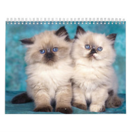Cute Kittens-kalender Kalender