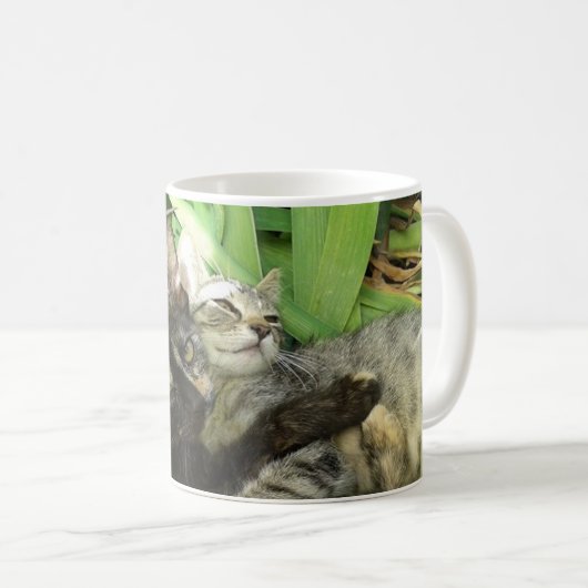 Cute kittens kuddling koffiemok (Voorkant rechts)