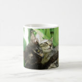 Cute kittens kuddling koffiemok (Center)