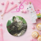 Cute kittens kuddling papieren bordje (Feest)