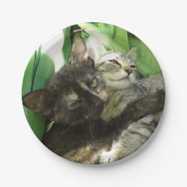 Cute kittens kuddling papieren bordje