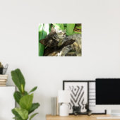 Cute kittens kuddling poster (Thuiskantoor)