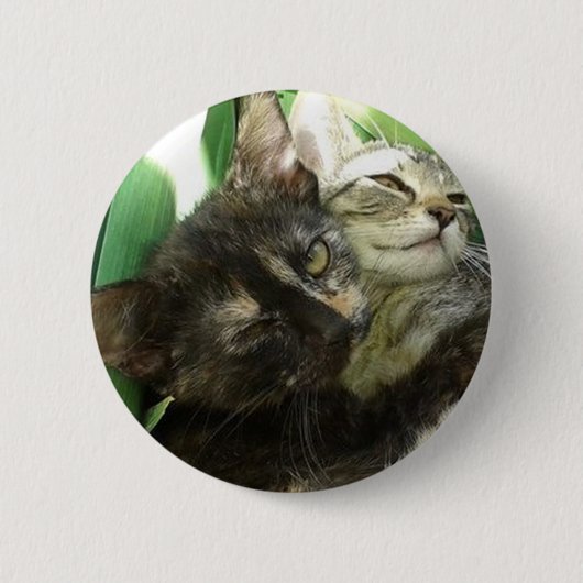 Cute kittens kuddling ronde button 5,7 cm (Voorkant)
