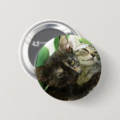 Cute kittens kuddling ronde button 5,7 cm (Voorkant /achterkant)