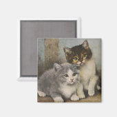 Cute Kittens Magneet (Voorkant / Achterkant)