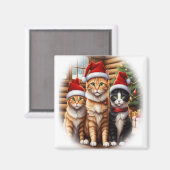 Cute Kittens Magneet (Voorkant / Achterkant)