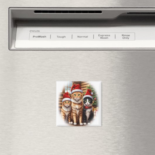 Cute Kittens Magneet (Insitu (Vaatwasser))