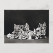 Cute  Kittens met Yarn Briefkaart (Voorkant)
