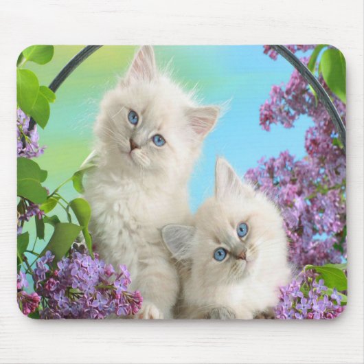 Cute Kittens Muismat (Voorkant)