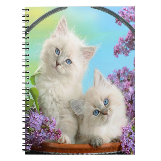Cute Kittens Notitieboek (Voorkant)
