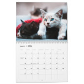 Cute Kittens Photo Wall Agenda Kalender (Mar 2026)