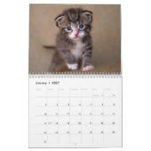 Cute Kittens Photo Wall Agenda Kalender (Jan 2027)