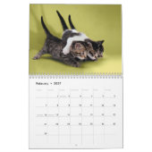 Cute Kittens Photo Wall Agenda Kalender (Feb 2027)